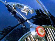 jagcat2 kopia.jpg